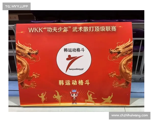 空手道高手征战综合格斗 技术流派碰撞与进化的终极对决 空手道高手征战综合格斗 技术流派碰撞与进化的终极对决